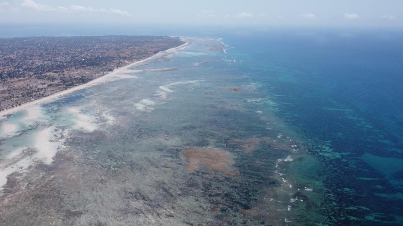 Chuiba Bay Lodge بيمبا المظهر الخارجي الصورة