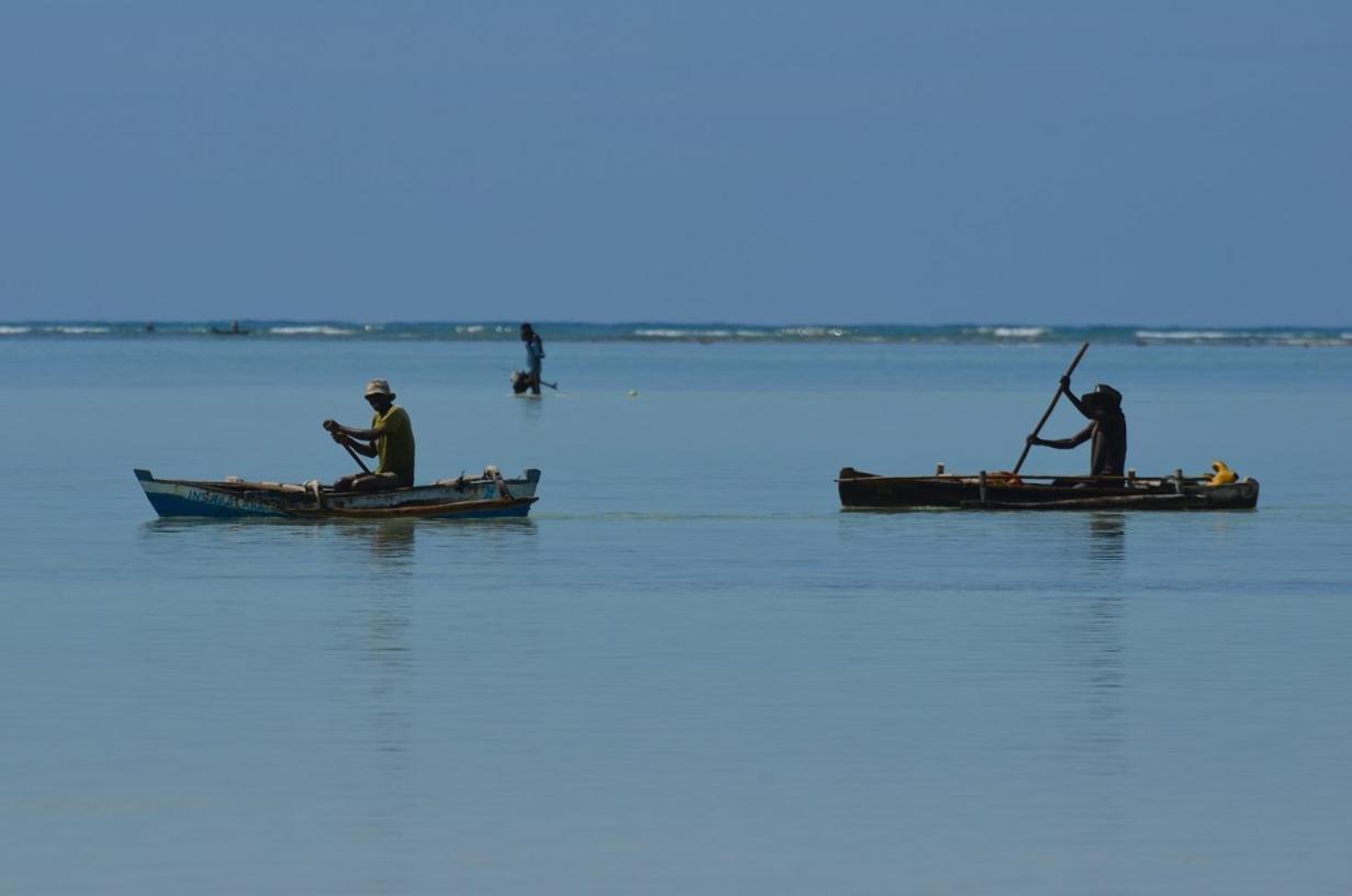 Chuiba Bay Lodge بيمبا المظهر الخارجي الصورة